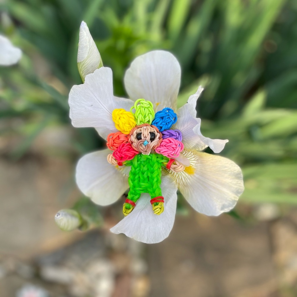Rainbowloom spring rainbow flower baby